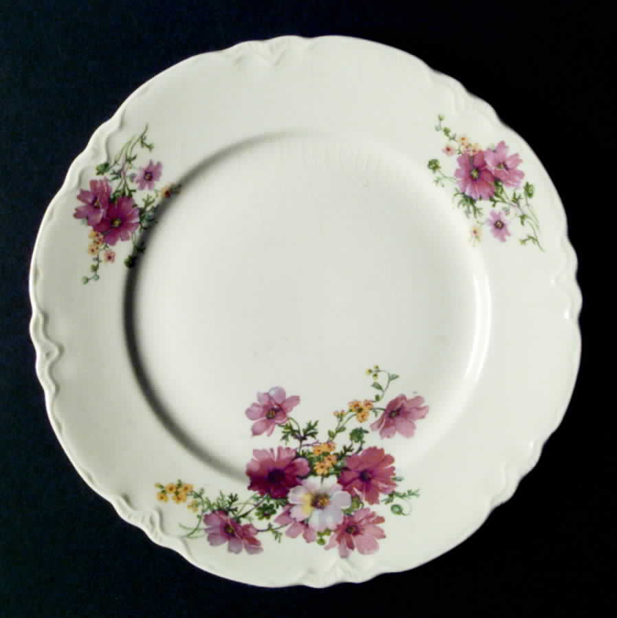 R4343 Dinner Plate by Homer Laughlin -1