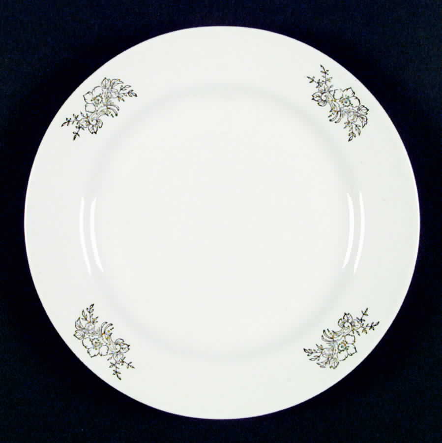 G1700 Dinner Plate by Homer Laughlin -1