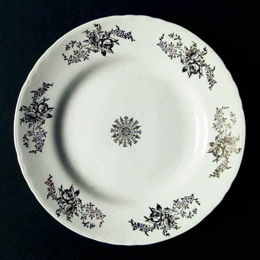 K7673 (Niagara Shape) Dinner Plate by Homer Laughlin -1