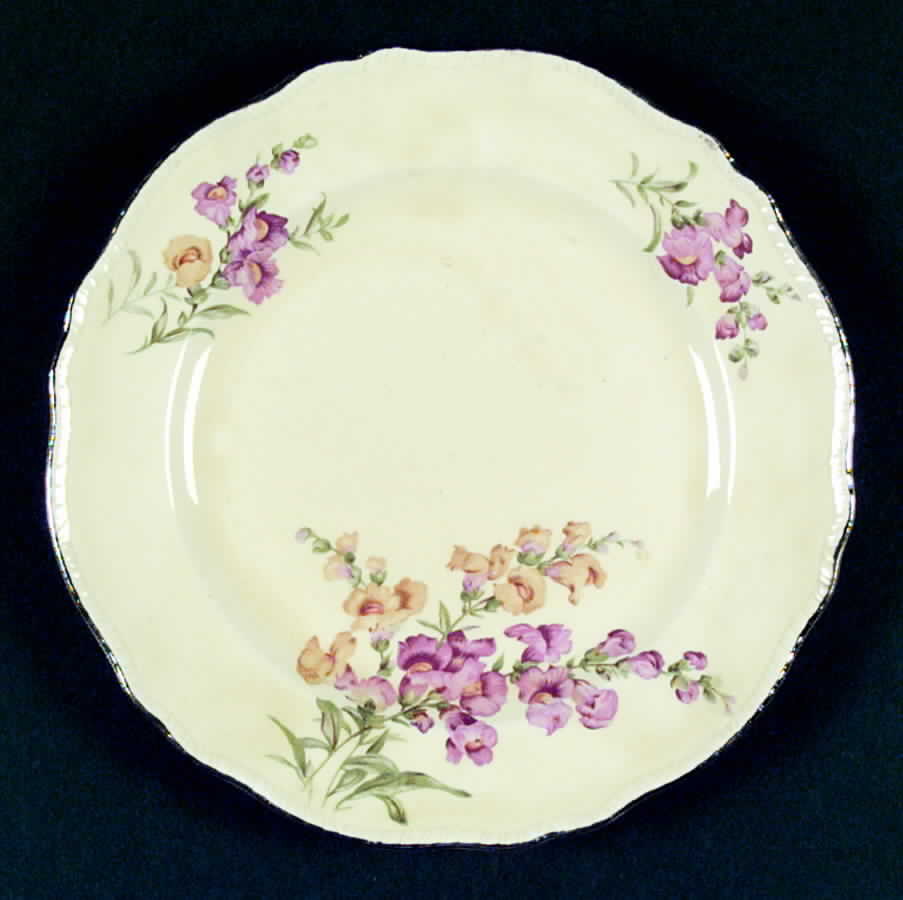 N7128 Dinner Plate by Homer Laughlin -1