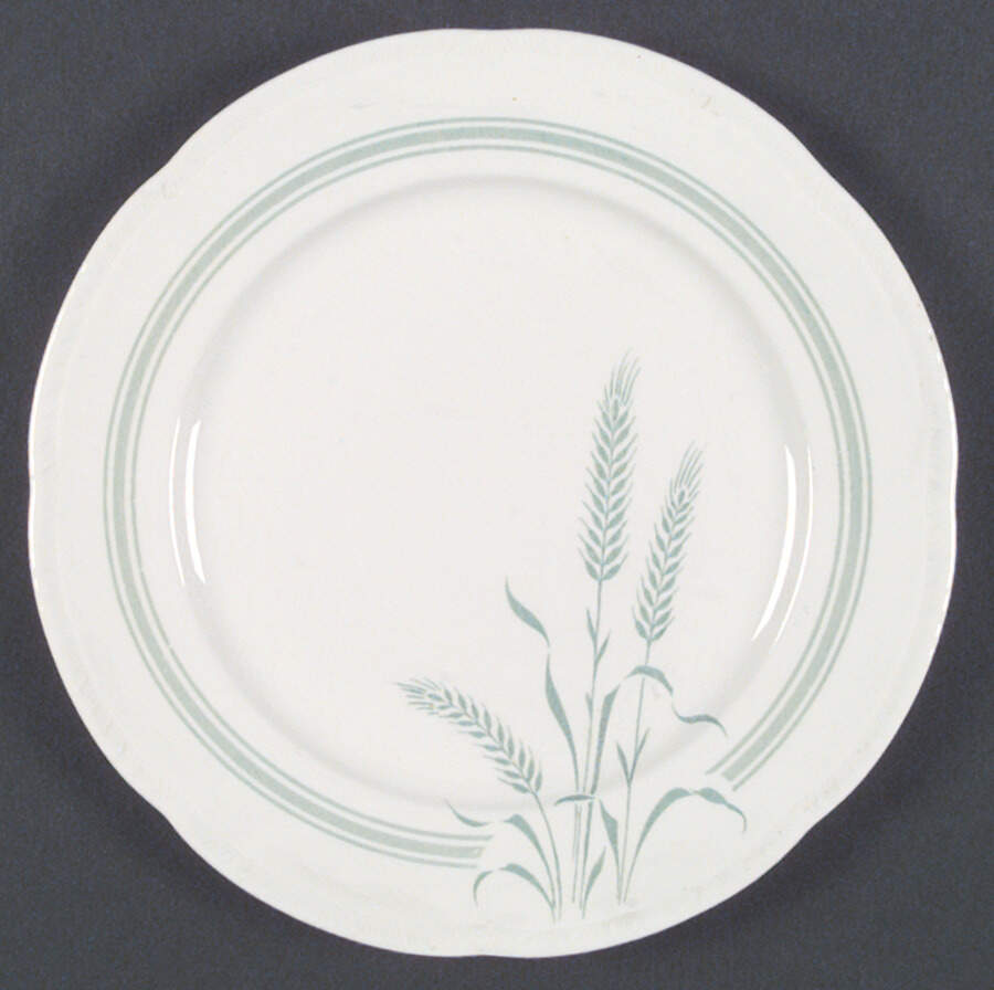 HLC1972 Dinner Plate by Homer Laughlin -1
