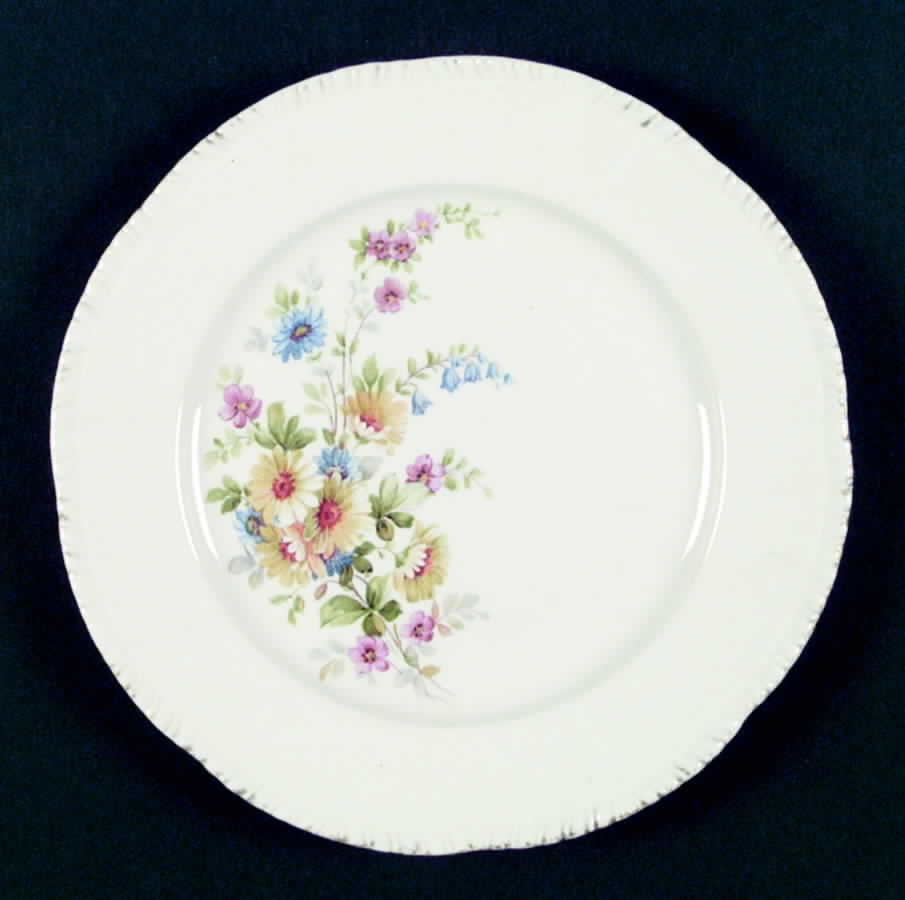 R3747a Dinner Plate by Homer Laughlin -1