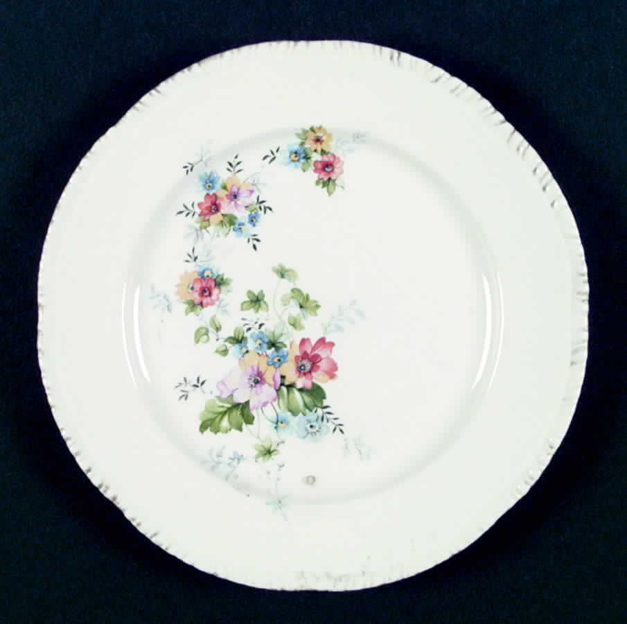 R3709a Dinner Plate by Homer Laughlin -1