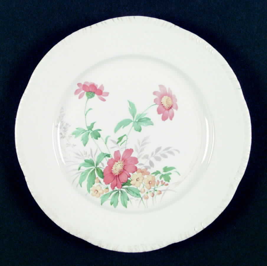R3750a Dinner Plate by Homer Laughlin -1