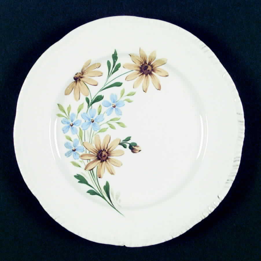 R3707a Dinner Plate by Homer Laughlin -1