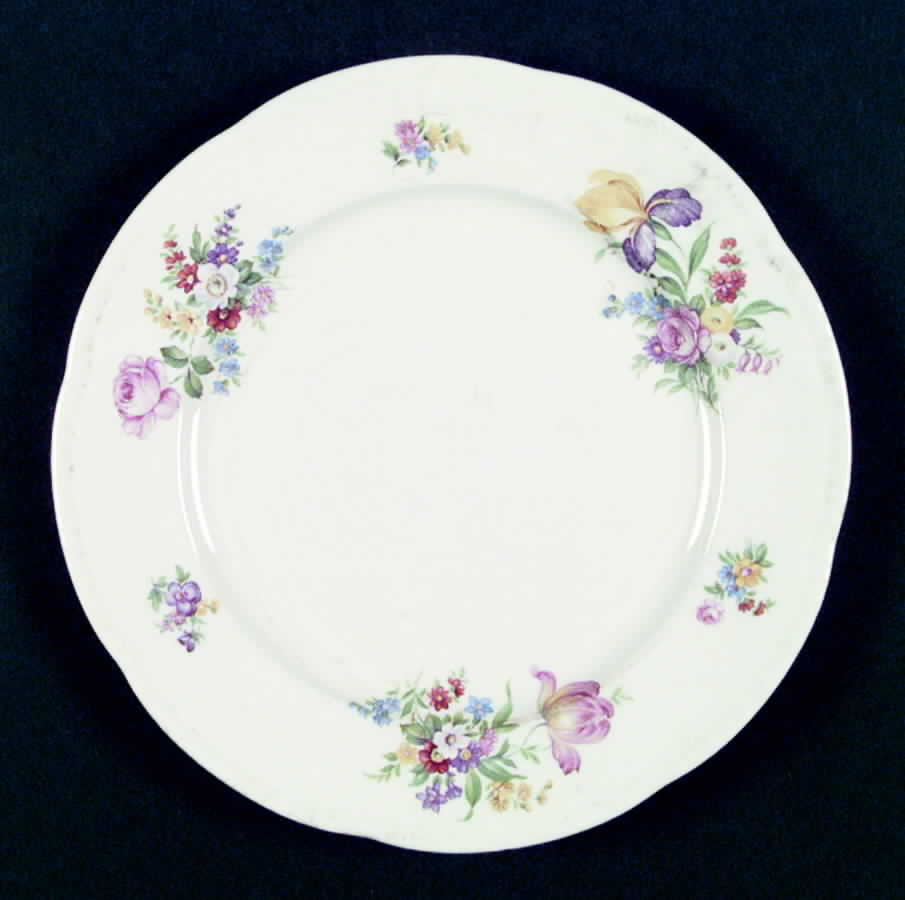 R3691a Dinner Plate by Homer Laughlin -1