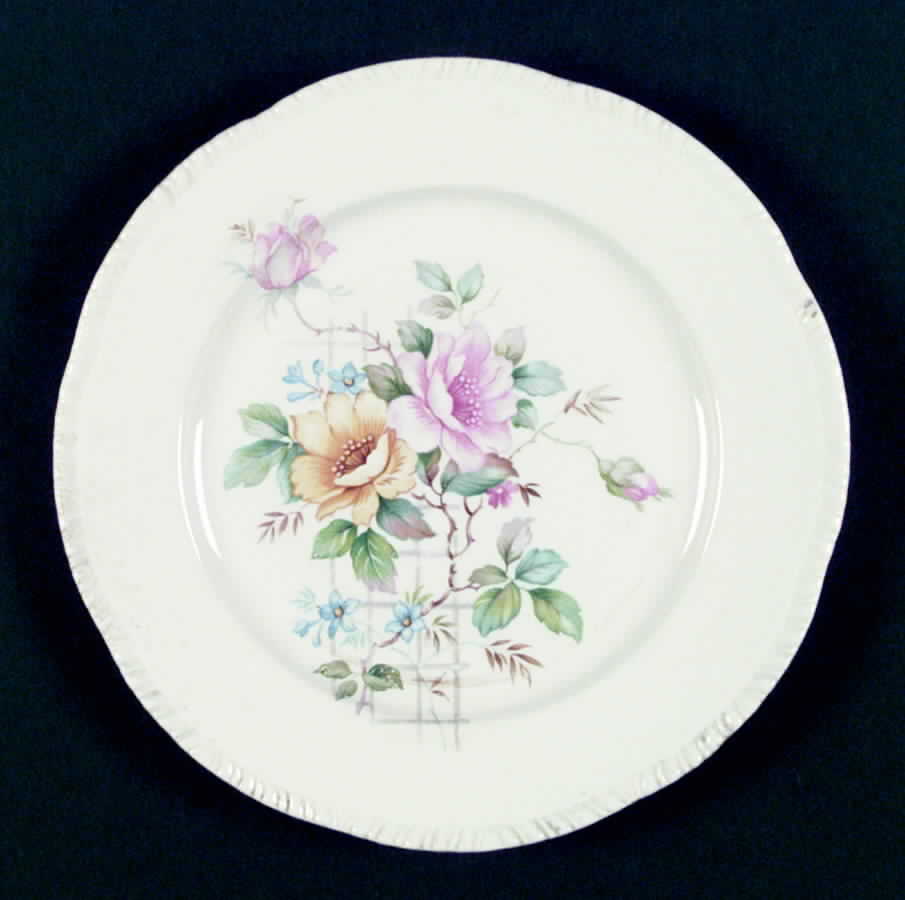 R3749 Dinner Plate by Homer Laughlin -1
