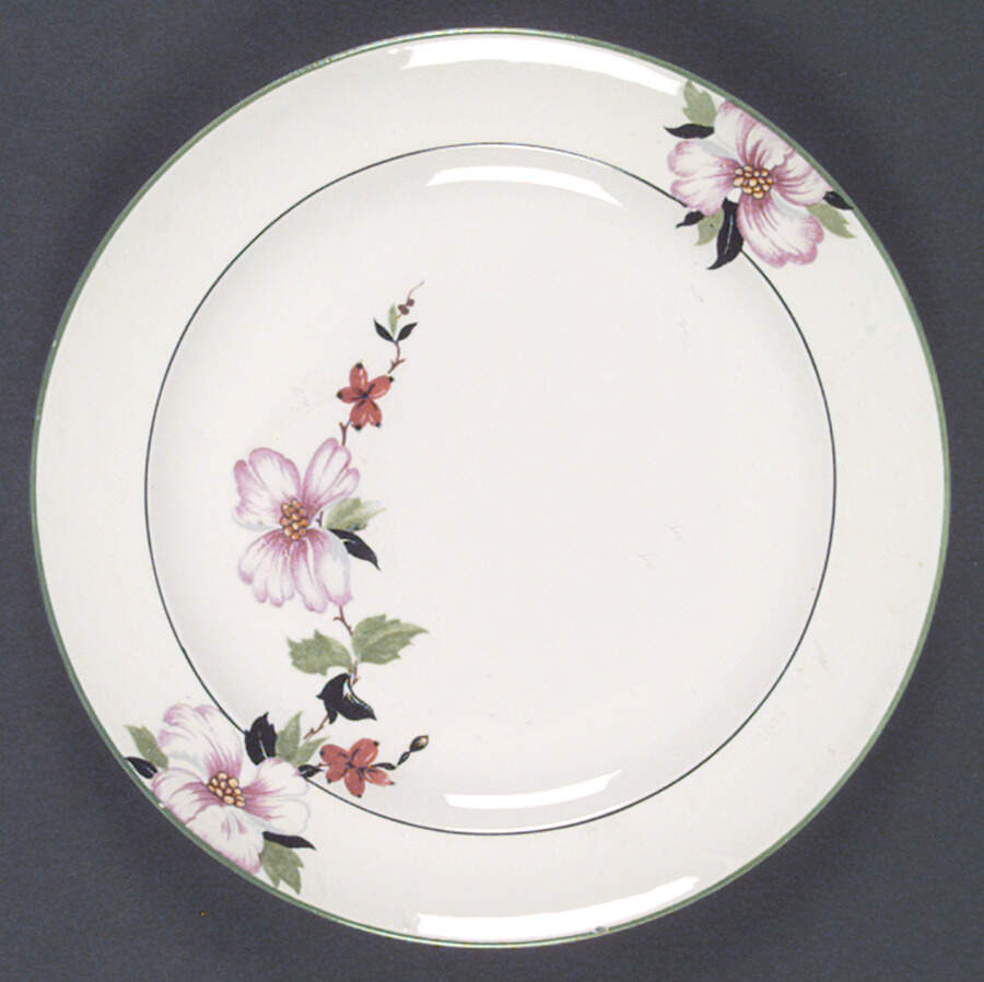 W8423 Dinner Plate by Homer Laughlin -1