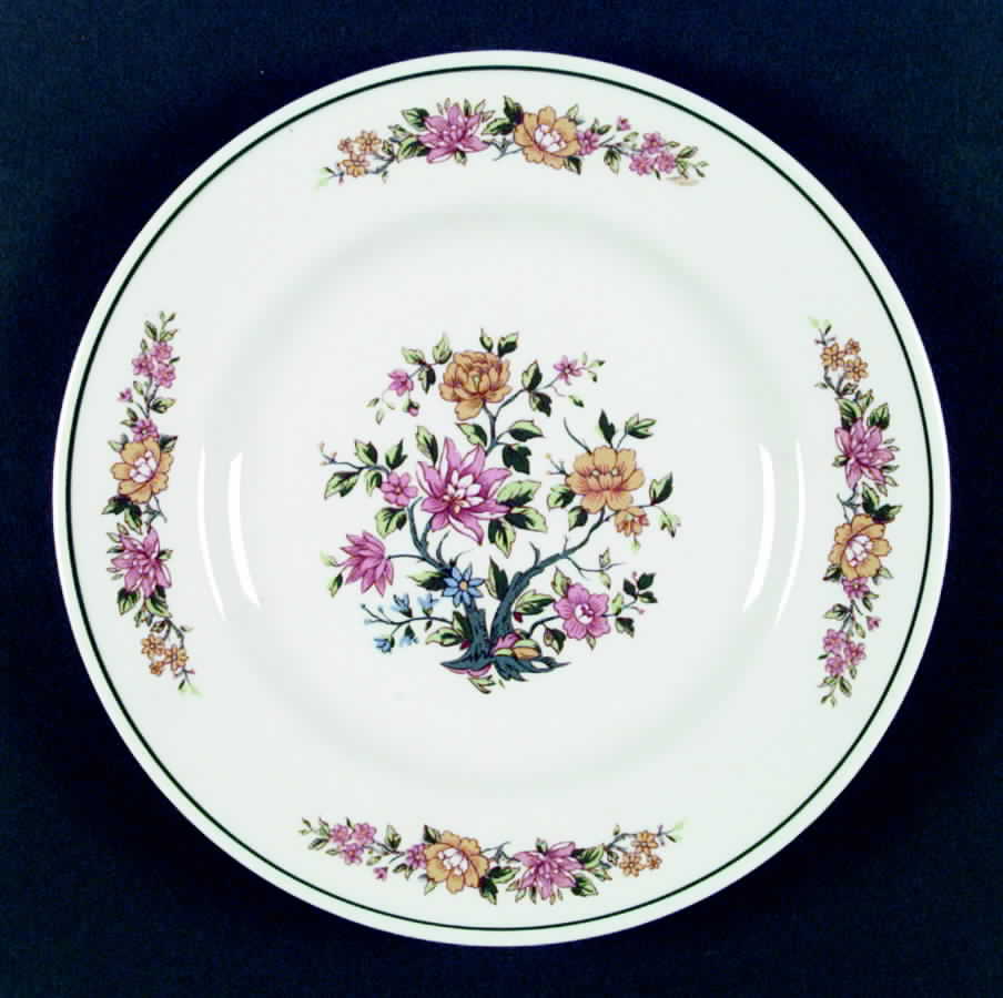HLC2011 Dinner Plate by Homer Laughlin -1