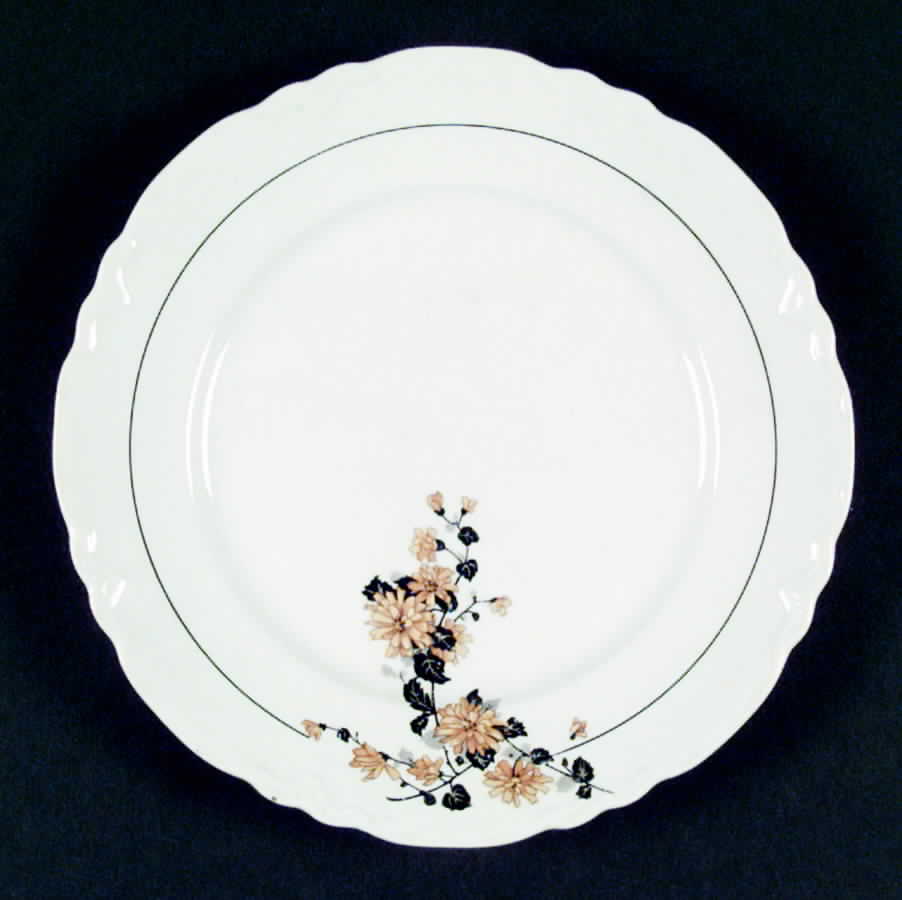 PG10 Dinner Plate by Homer Laughlin -1