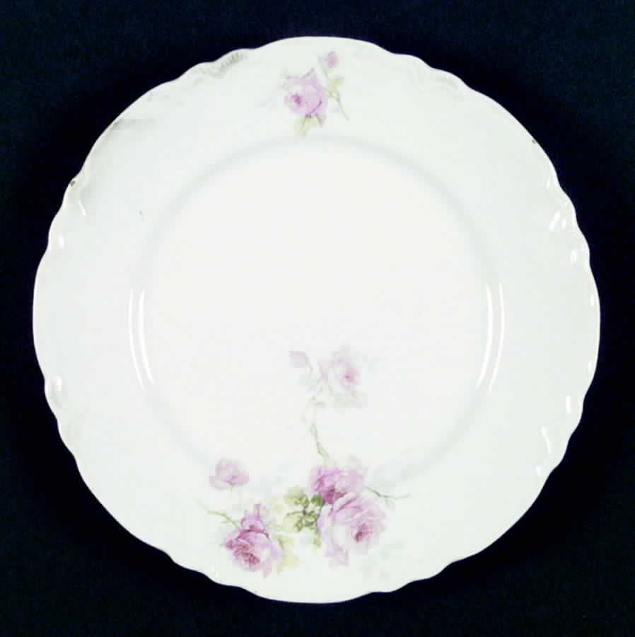 R8204 Dinner Plate by Homer Laughlin -1