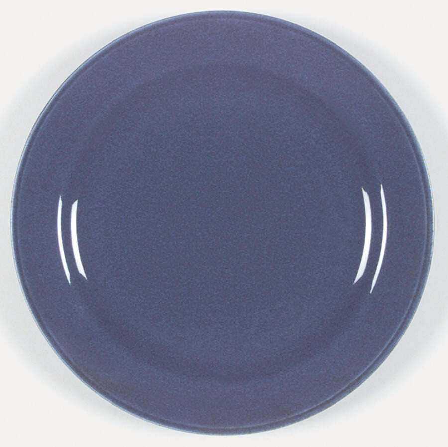 HLC1990 Dinner Plate by Homer Laughlin -1