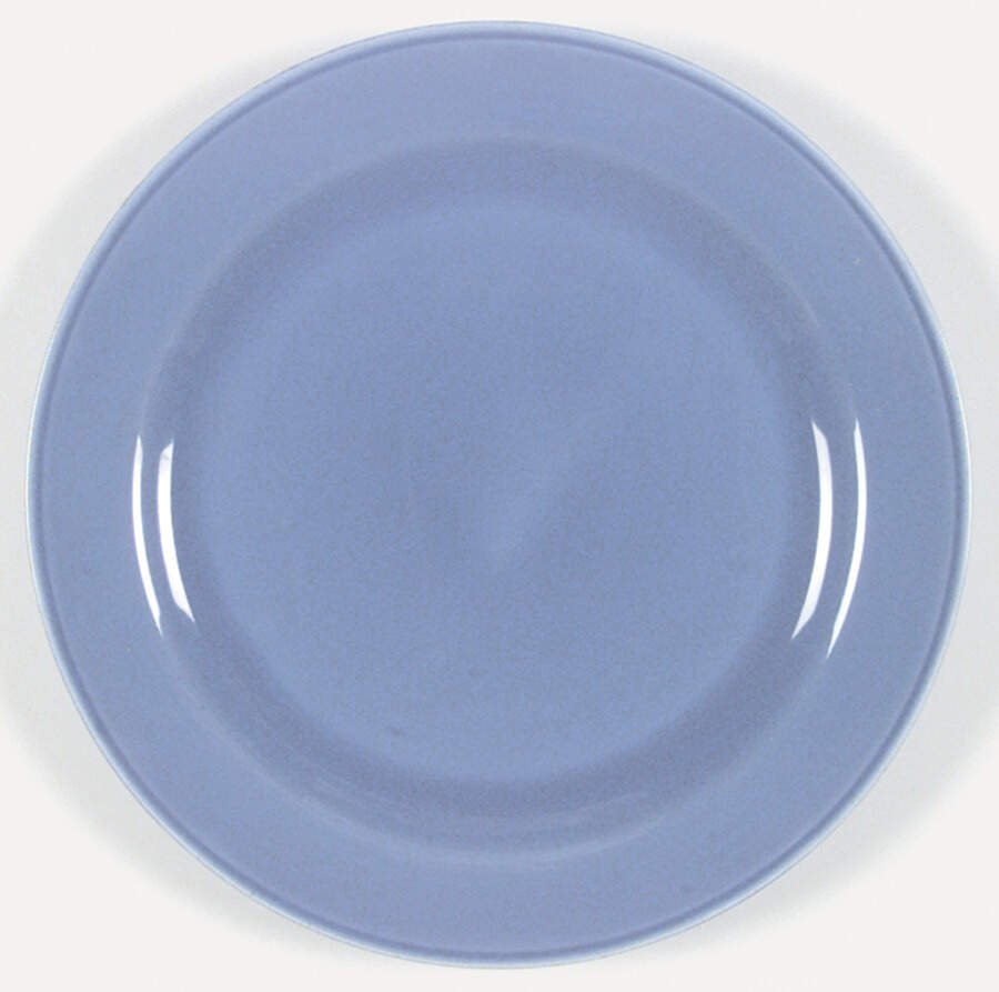 HLC1991 Dinner Plate by Homer Laughlin -1