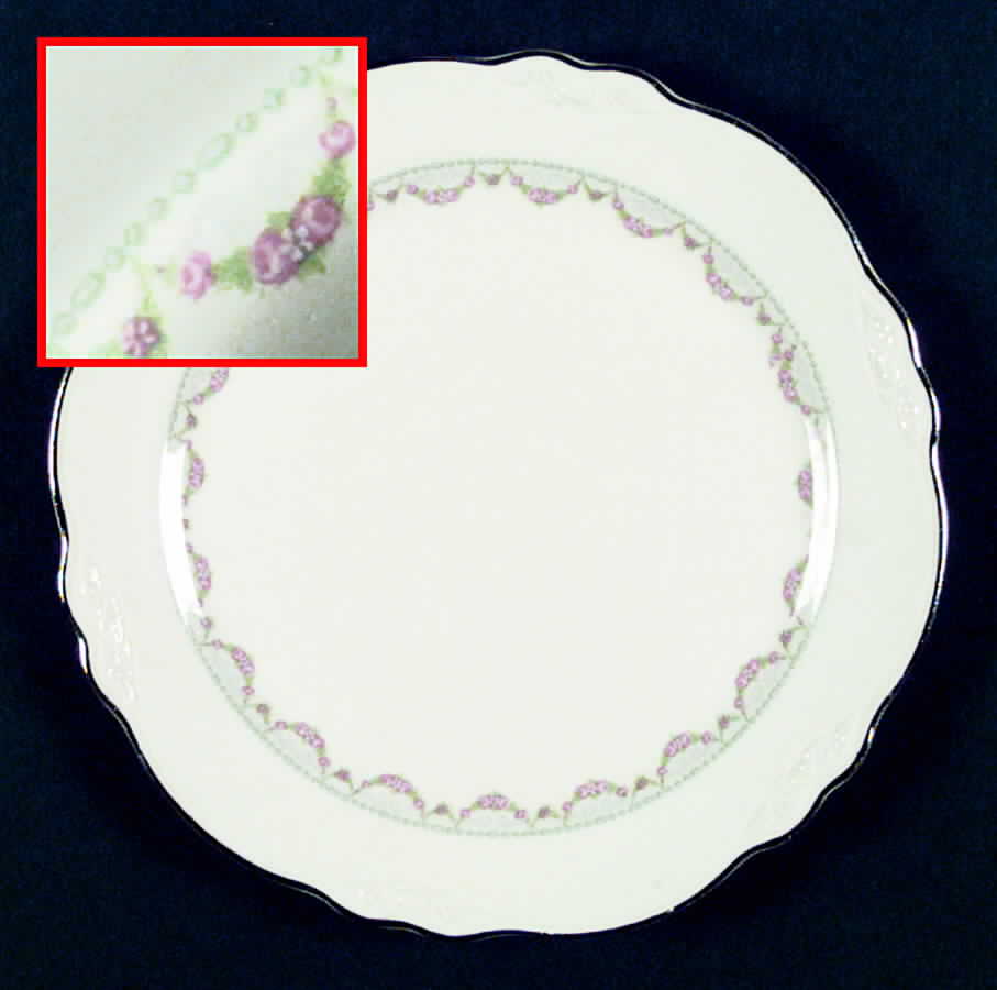 VR121 Dinner Plate by Homer Laughlin -1