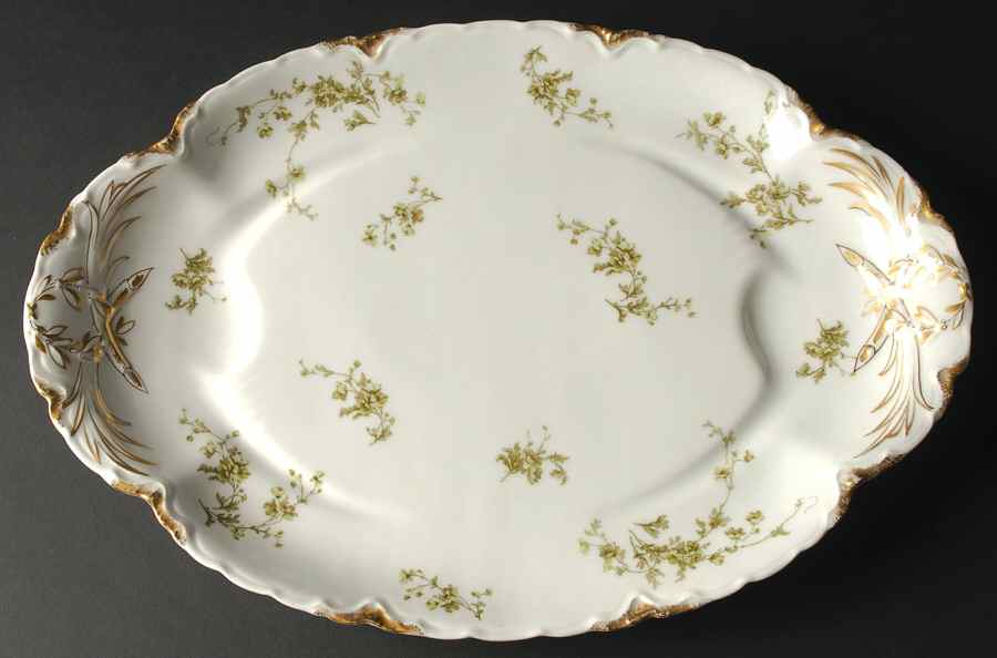 Schleiger 670D 17" Oval Platter with Well by Haviland-1