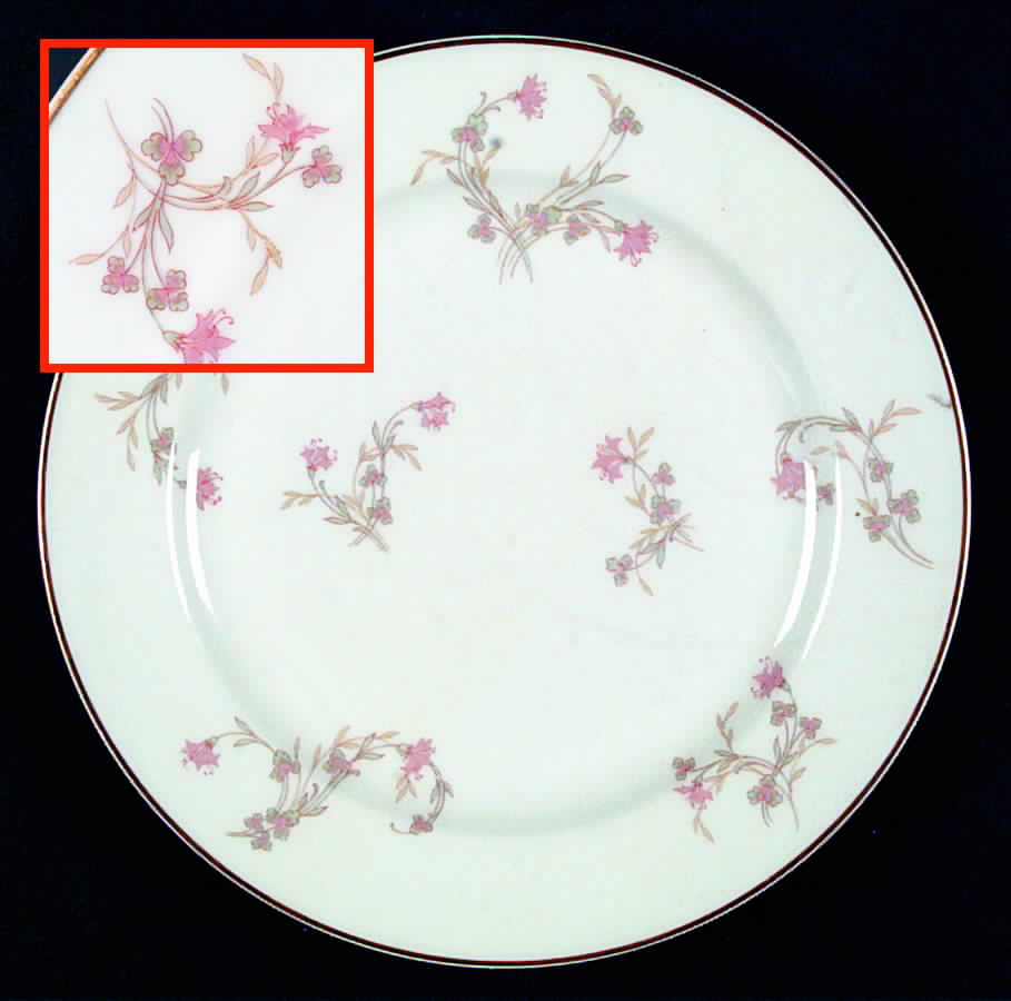H1400 Dinner Plate by Haviland-1