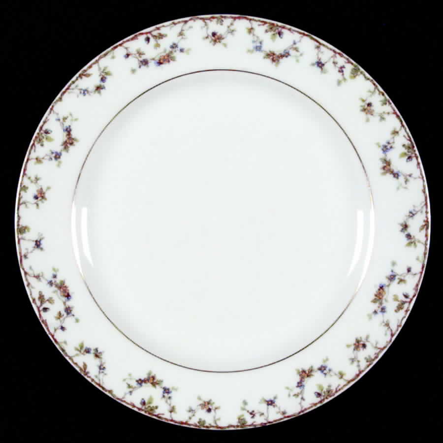 Schleiger 109-1 Salad Plate by Haviland-1