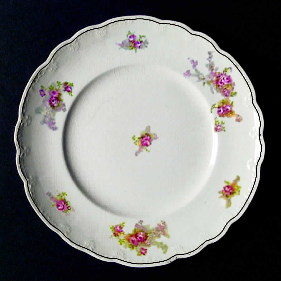 HLC2070 Dinner Plate by Homer Laughlin -1