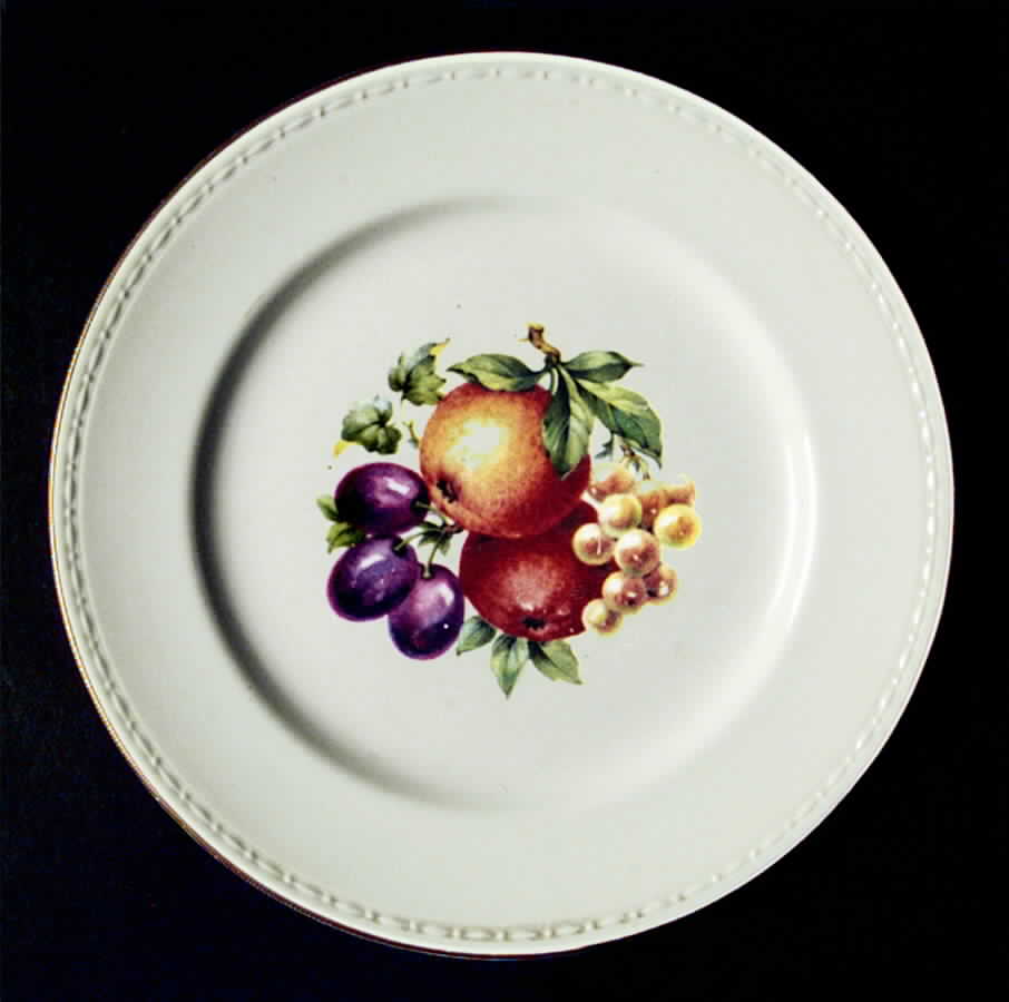 HLC2095 Dinner Plate by Homer Laughlin -1