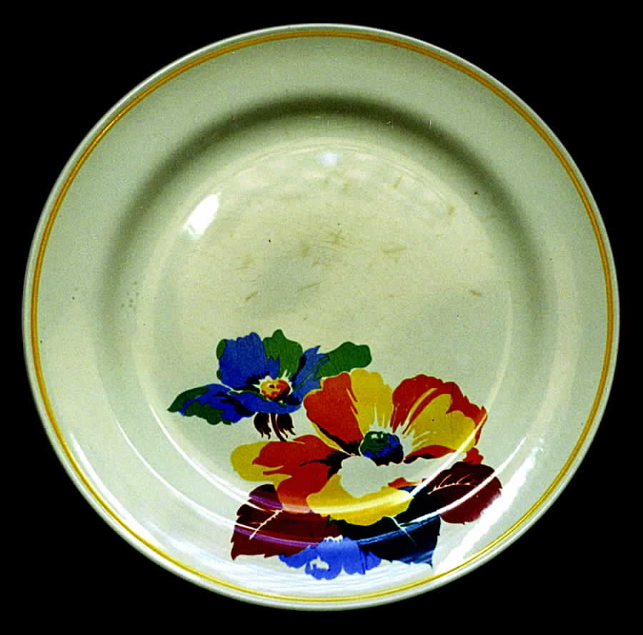 HLC2098 Dinner Plate by Homer Laughlin -1