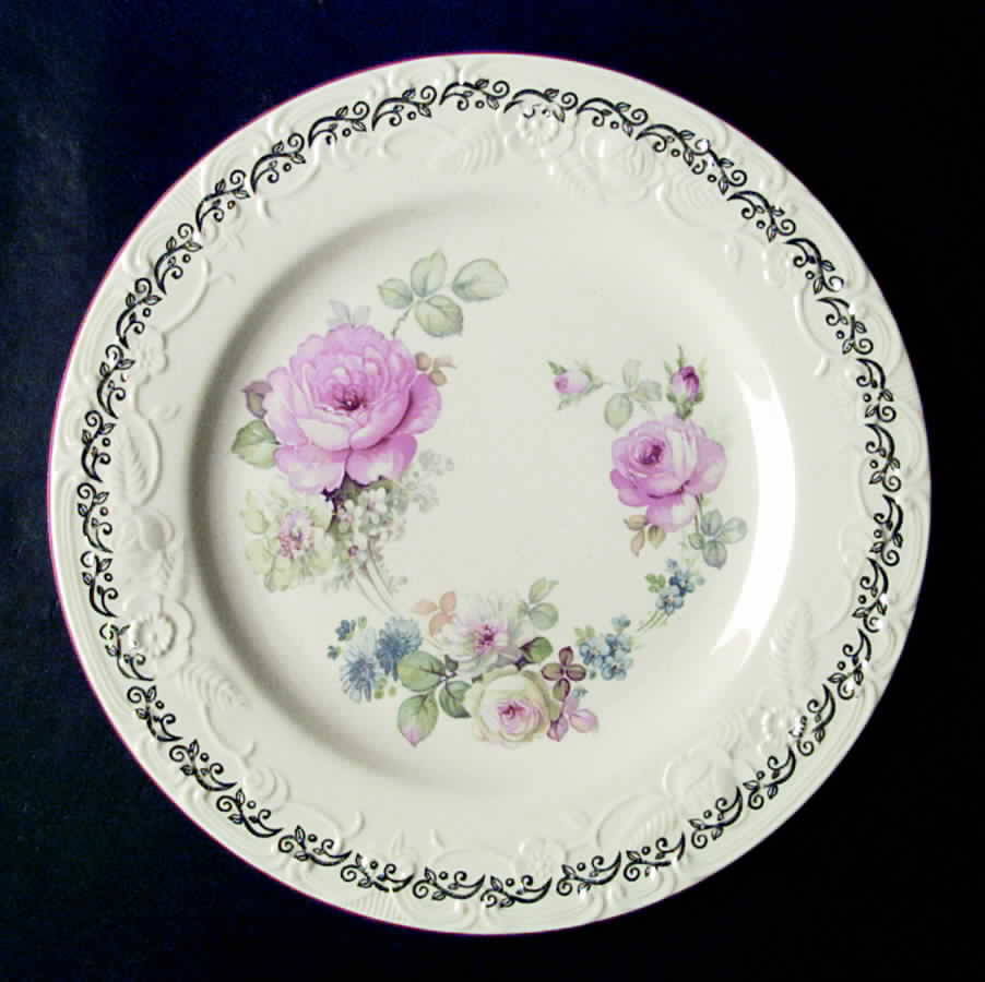 HLC3001 Dinner Plate by Homer Laughlin -1