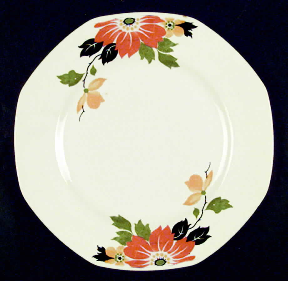 HLC3023 Dinner Plate by Homer Laughlin -1