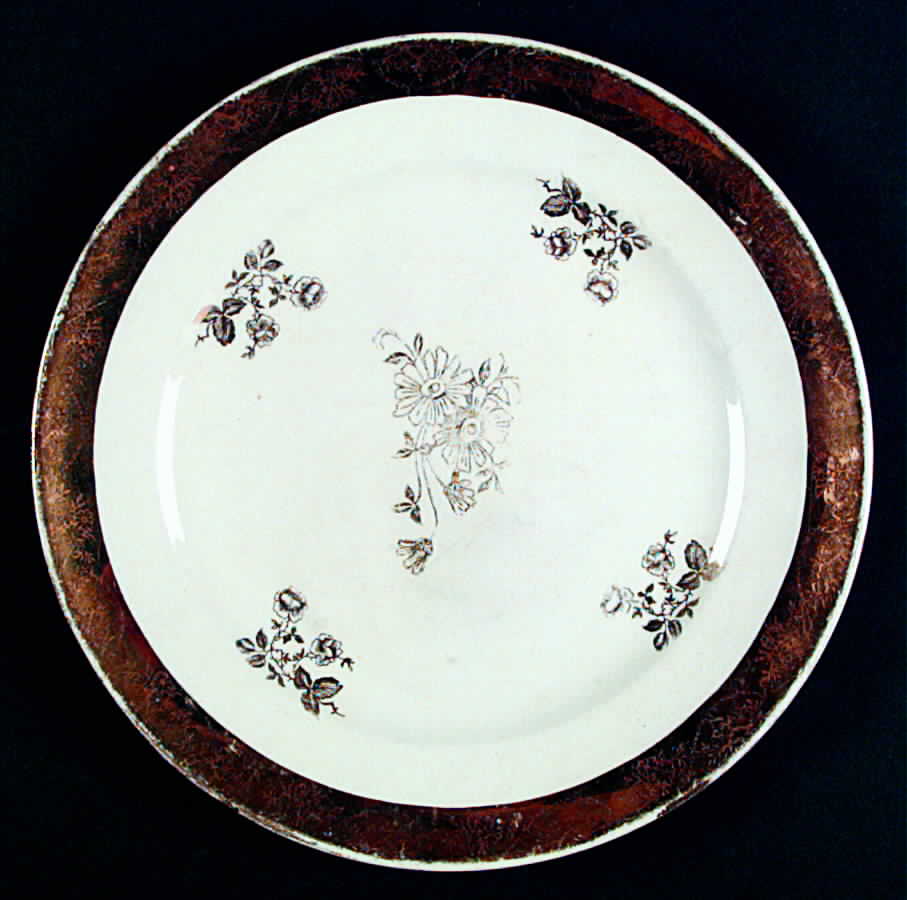 HLC3027 Dinner Plate by Homer Laughlin -1