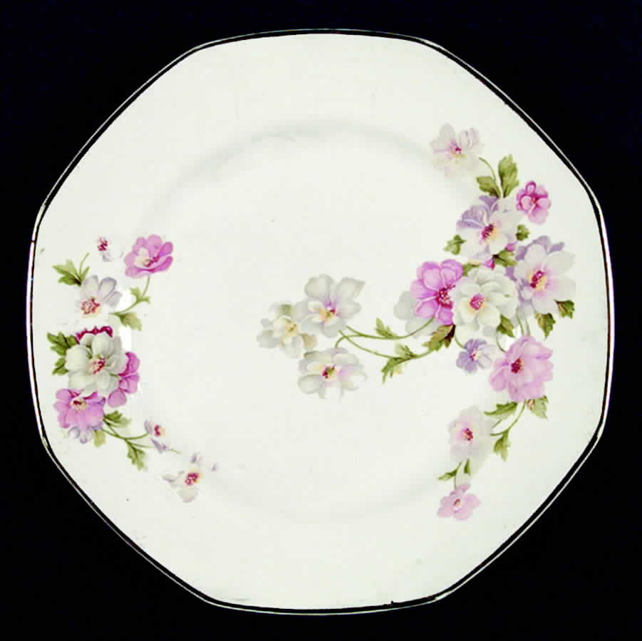 HLC3080 Dinner Plate by Homer Laughlin -1