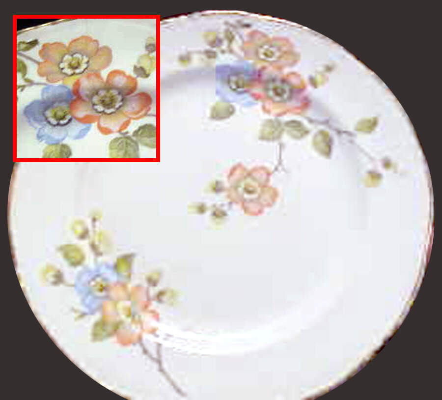 HLC3122 Dinner Plate by Homer Laughlin -1