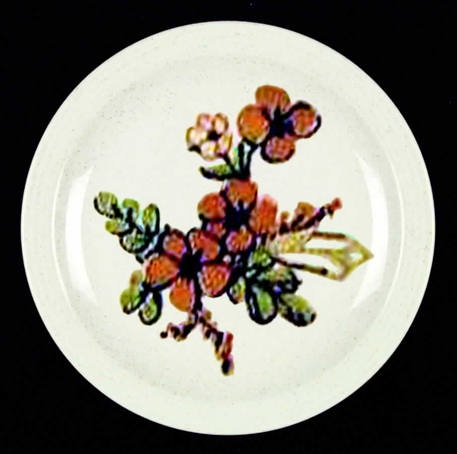 Nutmeg Dinner Plate by Homer Laughlin -1