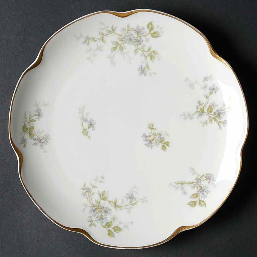 Schleiger 230-1 Coupe Salad Plate by Haviland-1