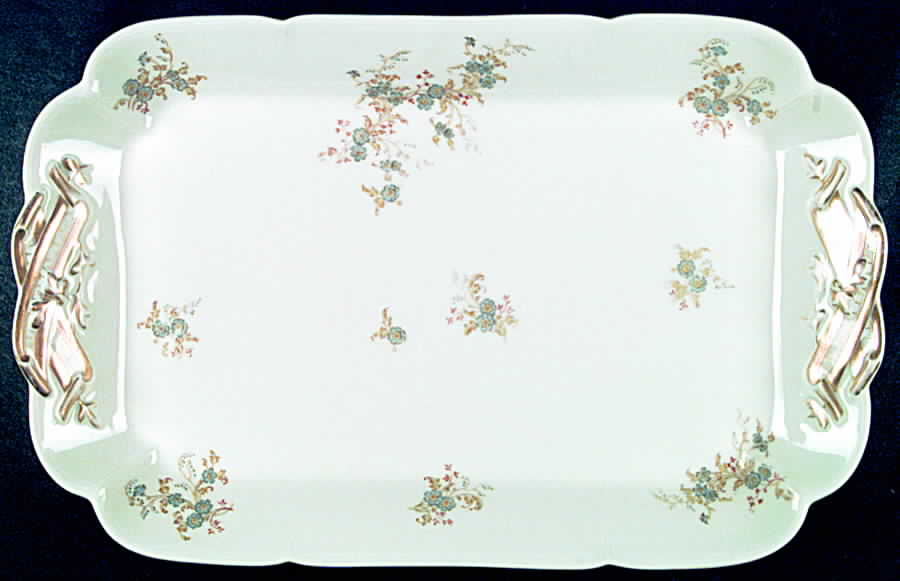 H2155 16" Rectangular Serving Platter by Haviland-1