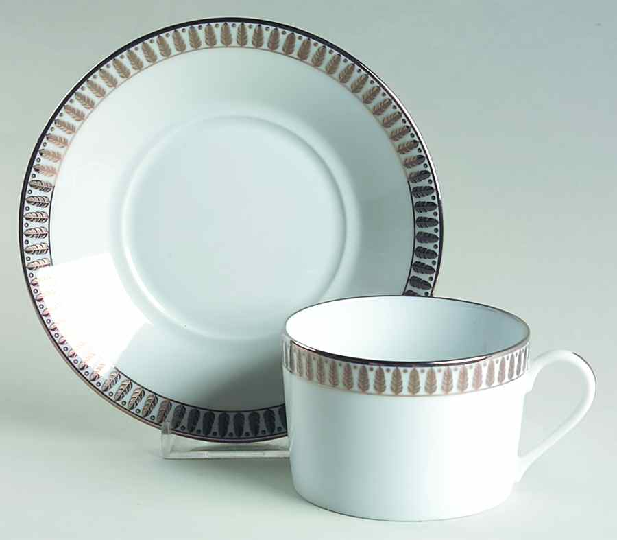 Plumes Platinum Flat Cup & Saucer Set by Haviland-1