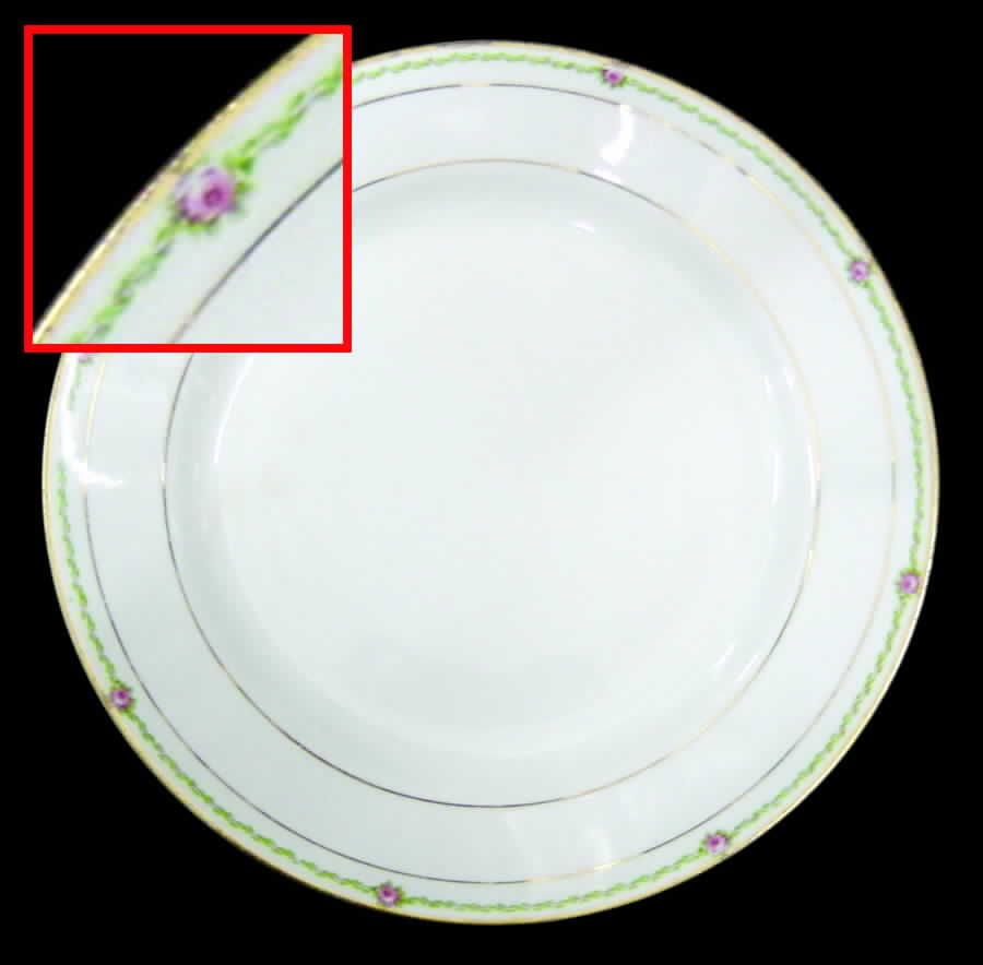 HLC2248 Dinner Plate by Homer Laughlin -1