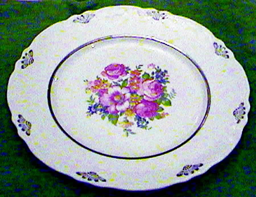 HLC2252 Dinner Plate by Homer Laughlin -1