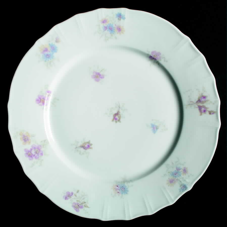 H2459 Dinner Plate by Haviland-1