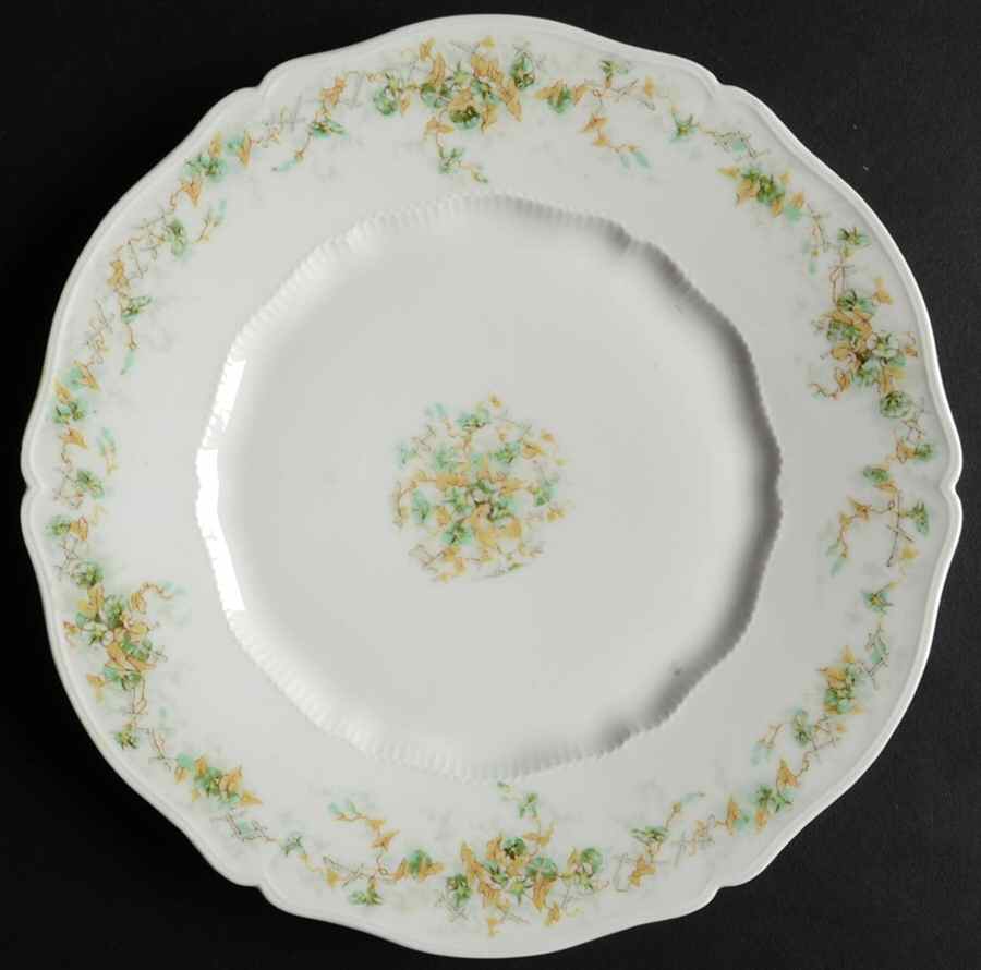 H2520 Salad Plate by Haviland-1