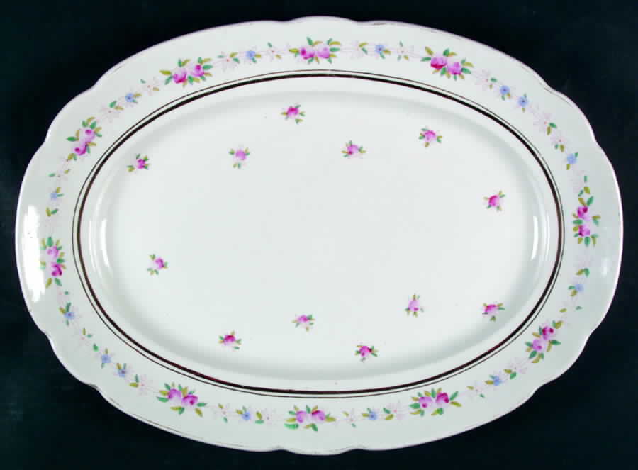 HAC1 20" Oval Serving Platter by Sampson Hancock & Sons-1