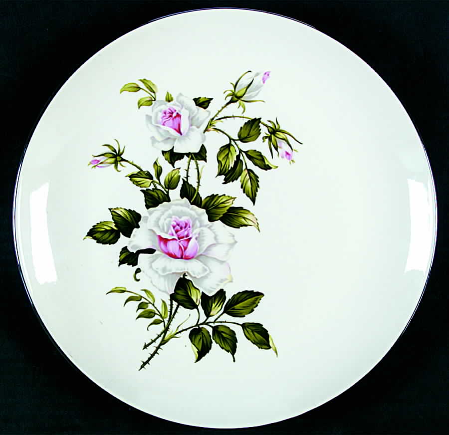 RY353 Dinner Plate by Homer Laughlin -1