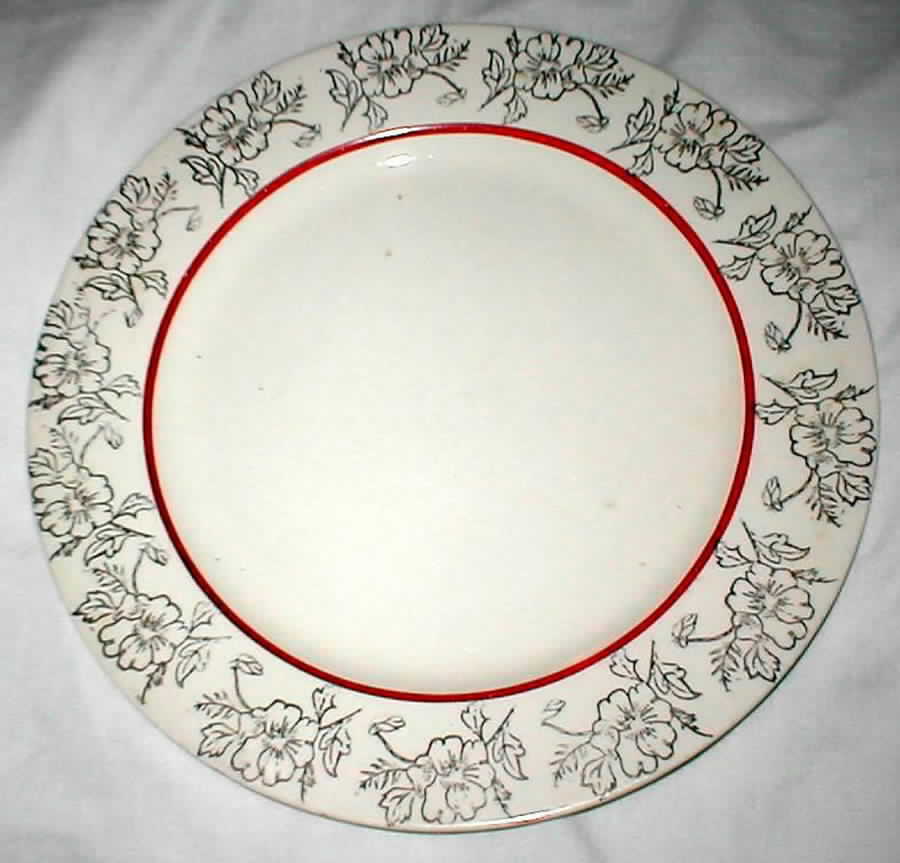 HLC2350 Dinner Plate by Homer Laughlin -1
