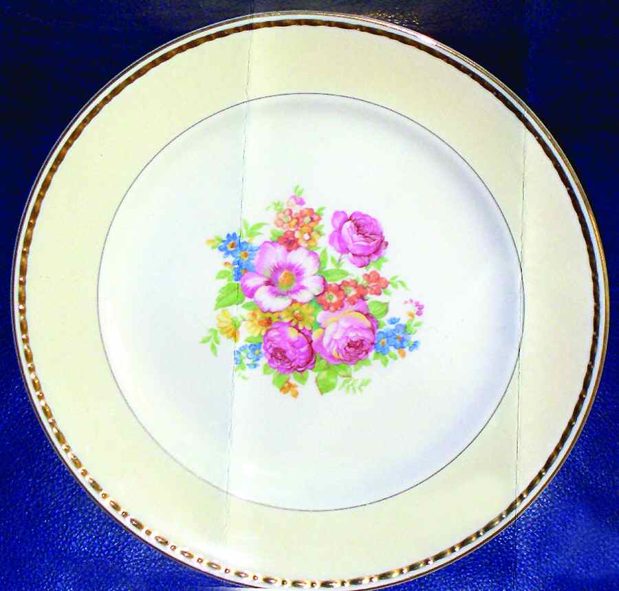 HLC2358 Dinner Plate by Homer Laughlin -1
