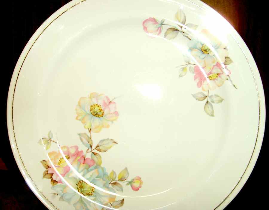 HLC3514 Dinner Plate by Homer Laughlin -1