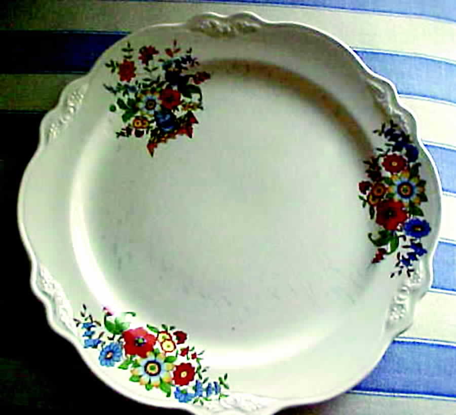 HLC2449 Dinner Plate by Homer Laughlin -1