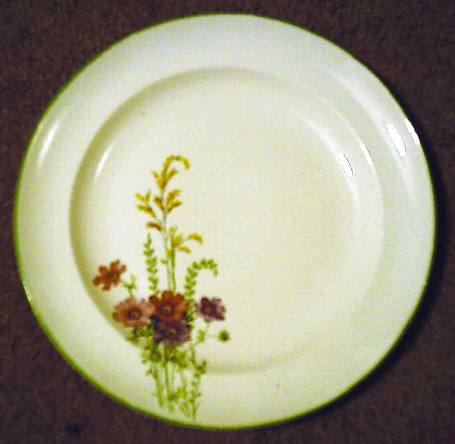 HLC3531 Luncheon Plate by Homer Laughlin -1