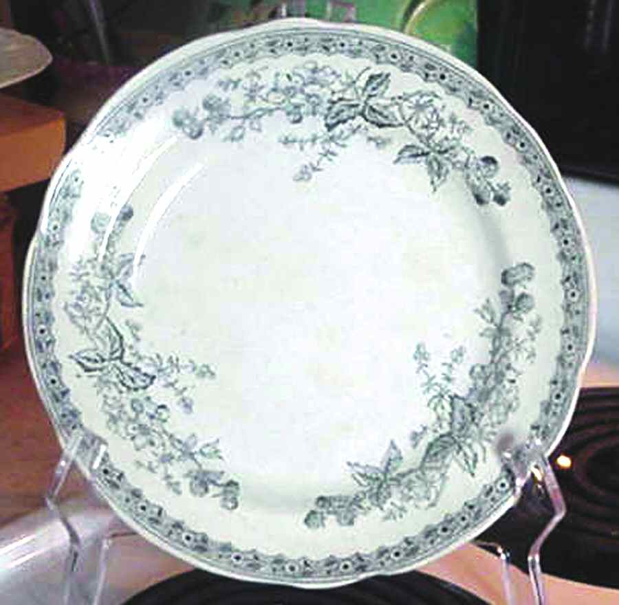 Blackberry Dinner Plate by Sampson Hancock & Sons-1