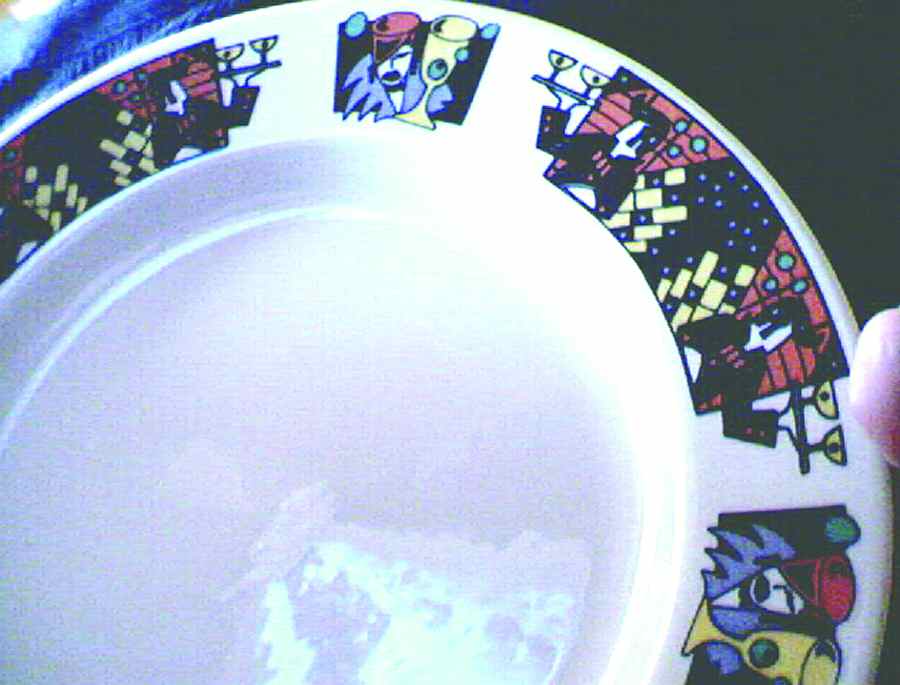 HLC2470 Dinner Plate by Homer Laughlin -1