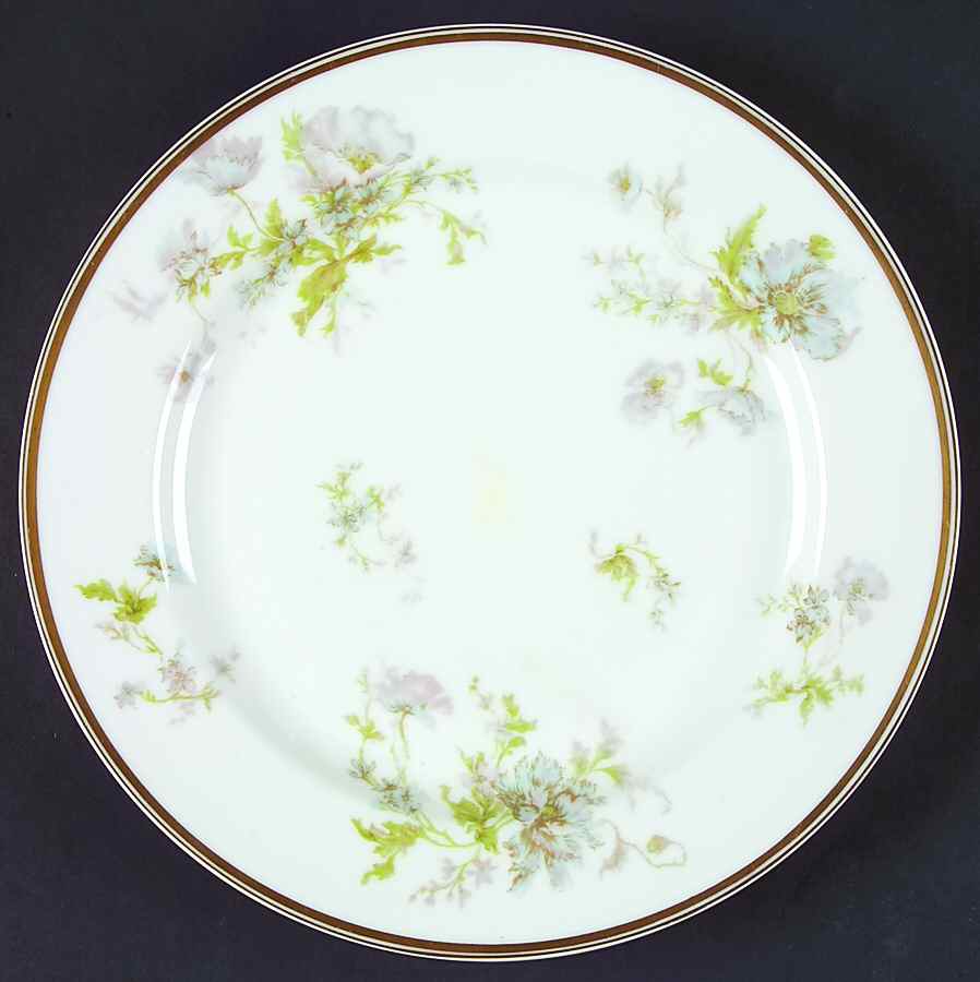 Schleiger 79-6 Dinner Plate by Haviland-1