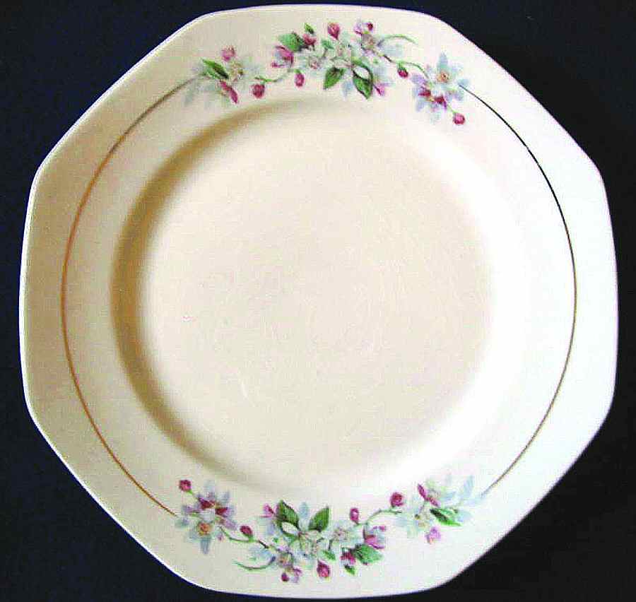 HLC2510 Dinner Plate by Homer Laughlin -1