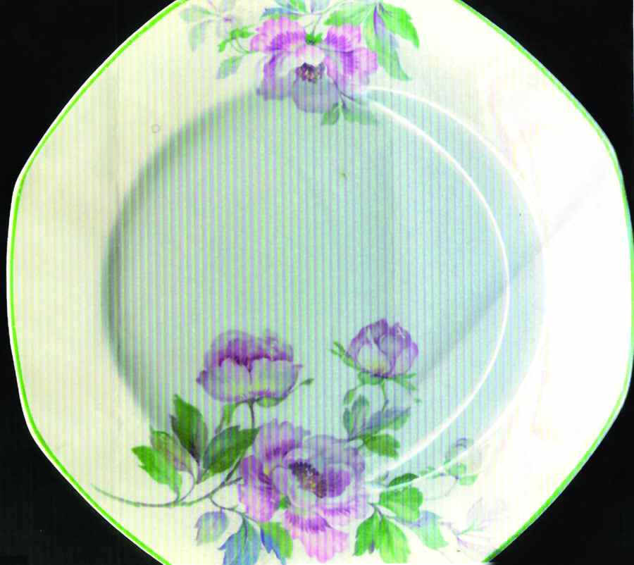HLC3586 Dinner Plate by Homer Laughlin -1