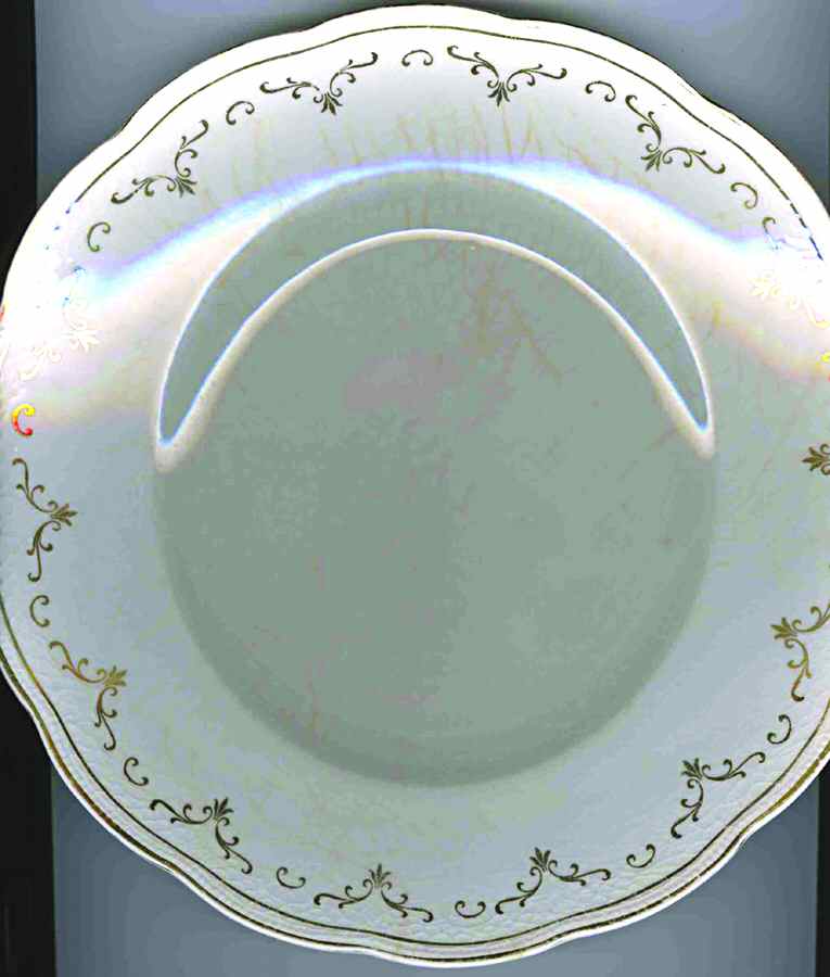 HLC2524 Dinner Plate by Homer Laughlin -1